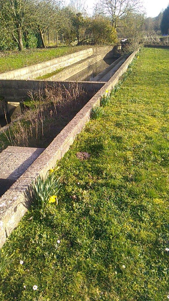 Gite Du Pont De Tancelle Préaux Buitenkant foto